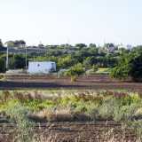 ...imbocchiamo via Bonomo e infine strada rurale del Torrente. Siamo sempre costeggiando il Tiflis, che per� da questo punto in poi diventa basso e soprattutto coltivato in ogni suo punto